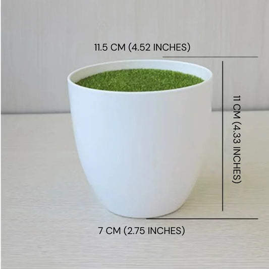 Flower Containers